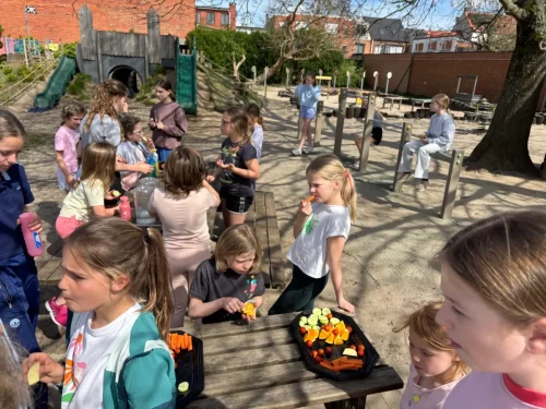 Dans & Omnisport (Paaskamp)