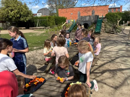 Dans & Omnisport (Paaskamp)